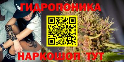 молекула духа Малгобек