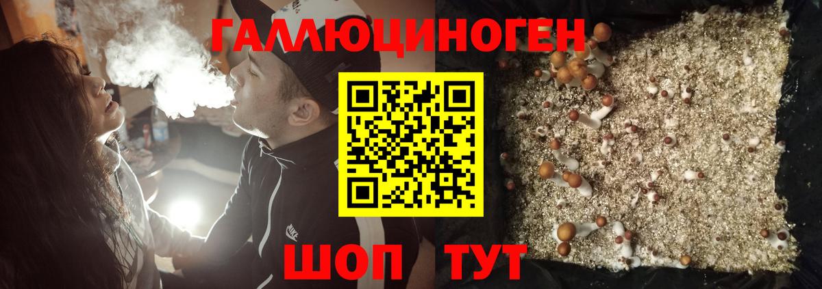 Галлюциногенные грибы Magic Shrooms Губкинский