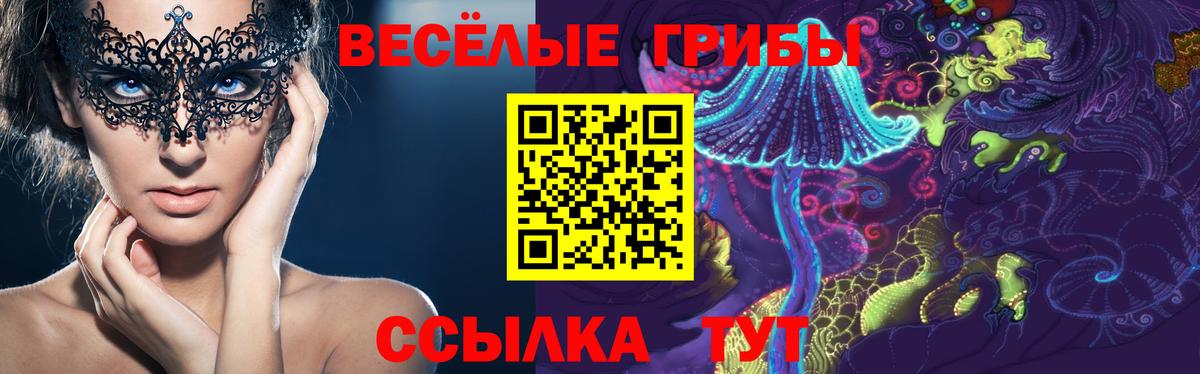 Галлюциногенные грибы MAGIC MUSHROOMS  Вход с VPN  Псилоцибиновые грибы прущие грибы  Губкинский 
